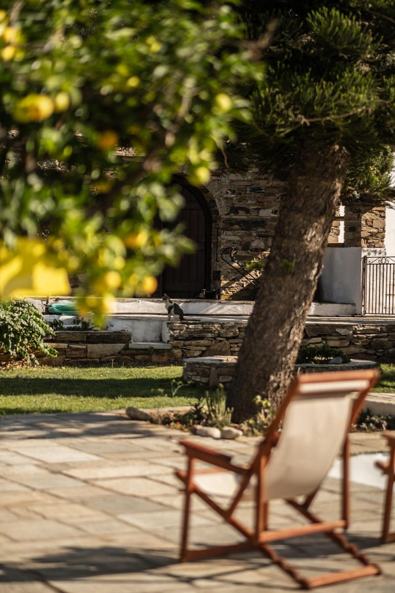 Romano Garden House - Land Tales Agios Romanos 외부 사진
